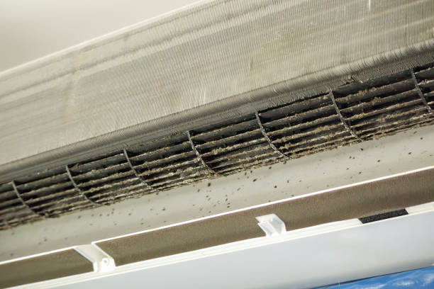 Best HVAC Duct Inspection Services  in Colfax, CA